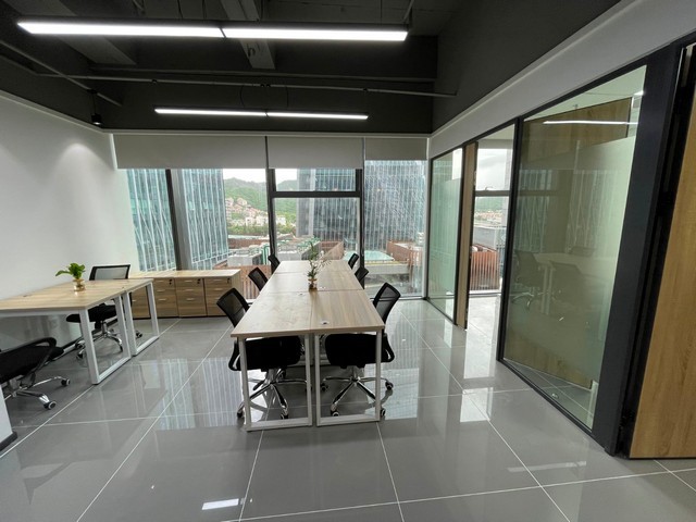 晋江办公绿植批发