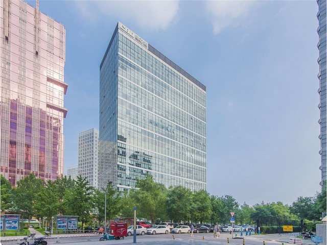 福建臻旺小猪酒推荐