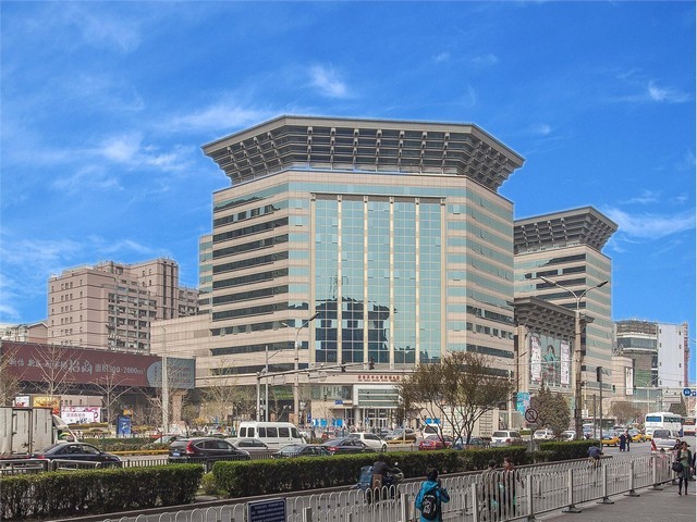 金山区公寓绿植租赁服务