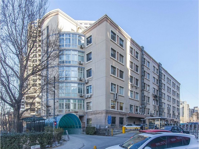 杭州6x9木方交易价格